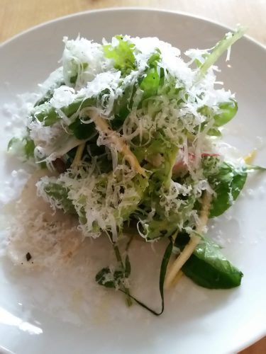 Spring Salad with onion vinaigrette dressing