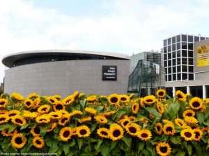 van gogh museum