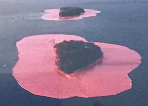 Pink Island Installation