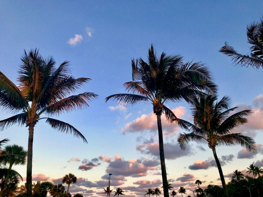 Amazing Sunset