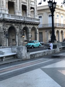 A blue turtle car