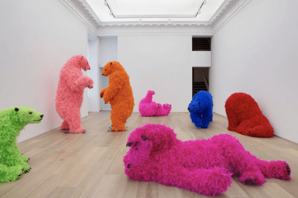 Bears in different colors
